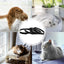4pcs Calming Collar For Cats Relax Cat Pheromone Collar Calming Pheromone Collar Cats Adjustable Long-Lasting Pheromone Collar