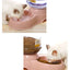 Dog Automatic Feeders Plastic Water Bottle Cat Bowl Feeding and Drinking Dog Water Dispenser Pet Feeding Bowl Pet Supplies