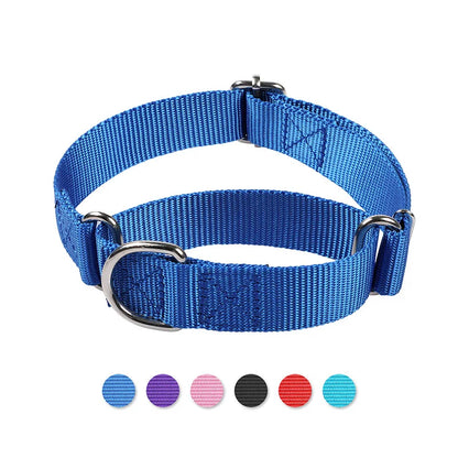 Martingale Heavy Duty Nylon Dog Collar for Small, Medium, Large Breeds Adjustable Safety Training Collar
