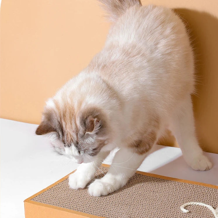 Pet Cat Scratching Board Cat Cardboard Mat Scraper Grinding Claw Toys for Cat Scratcher Cat Furniture Protector Cat Accesorios