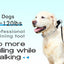 Strong Dog Prong Collar for Dogs Adjustable Detachable Dog Training Collar with Quick Release Buckle for Small Medium Large Dogs