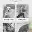 Dog cage household indoor with toilet pulley exquisite workmanship small medium and large dog cage reinforced kennel villa heigh