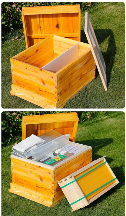 10 Frame Bee Hive, Complete Beehive Kit Beeswax Coated Beehive Include Frames, Bee Hive Boxes Starter Kit for Bee Keekeepers