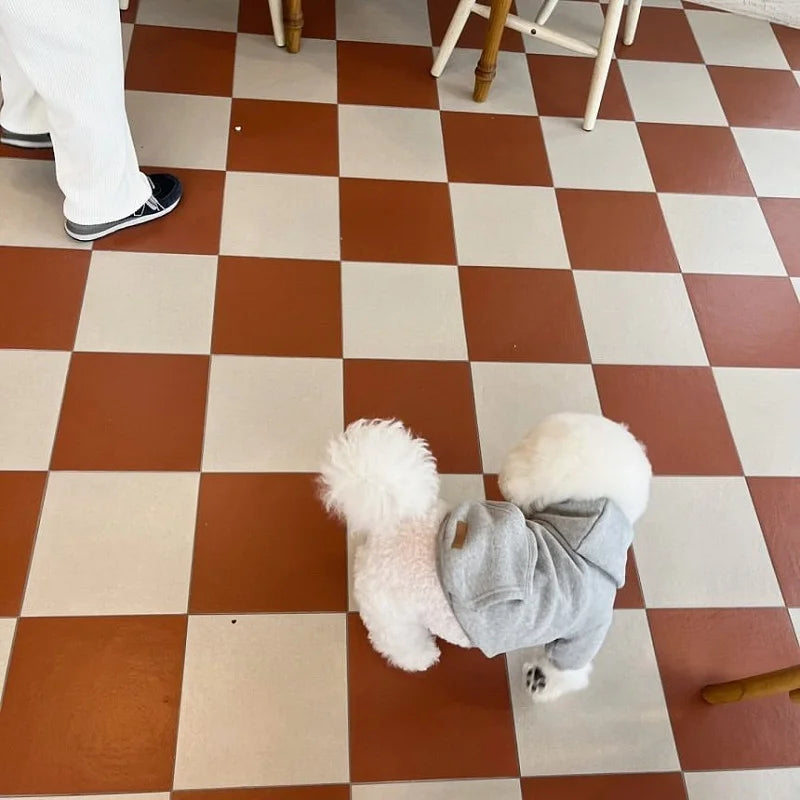 Winter Thin Dog Hoodies for Small Dogs Chihuahua Cotton Puppy Sweatshirt Pet Pullover Bichon Yorkie Dog Costume Solid Dog Coat