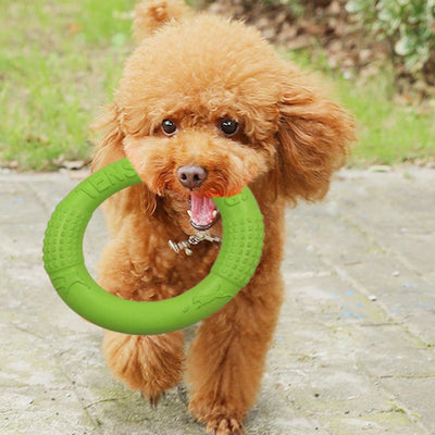 Floating Water Dog Toy Training Ring for Pets Interactive Puller Chew Resistant Perfect for Small Dogs Enhances Agility & Fun