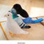 Simulation Pigeon Plush Toy Cartoon Birds Peace Dove Doll Doll Children Doll Gift Wholesale
