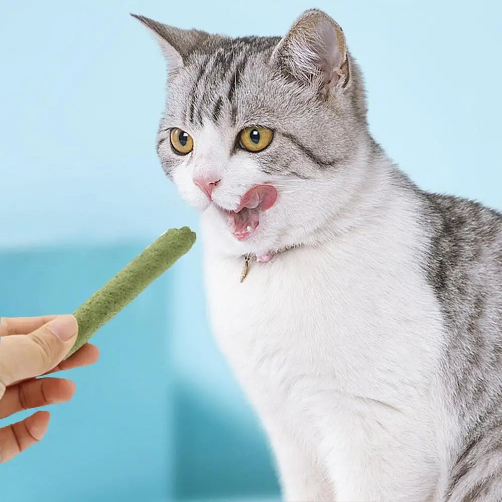 Cat Grass Stick Cat Grass Chewing Stick Natural Teeth Cleaner Removal Row Kitten Pet Snacks Teeth Caring for Kitten Mouth Health