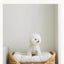 Dog bed universal cat litter pet bed rattan dog bed rattan kennels medium and small dogs winter and summer pet litter