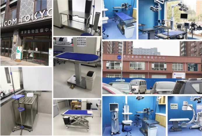 Good Price Veterinary cage Stainless Steel Four Sets of Dog Cat Stainless Steel Pet Cage