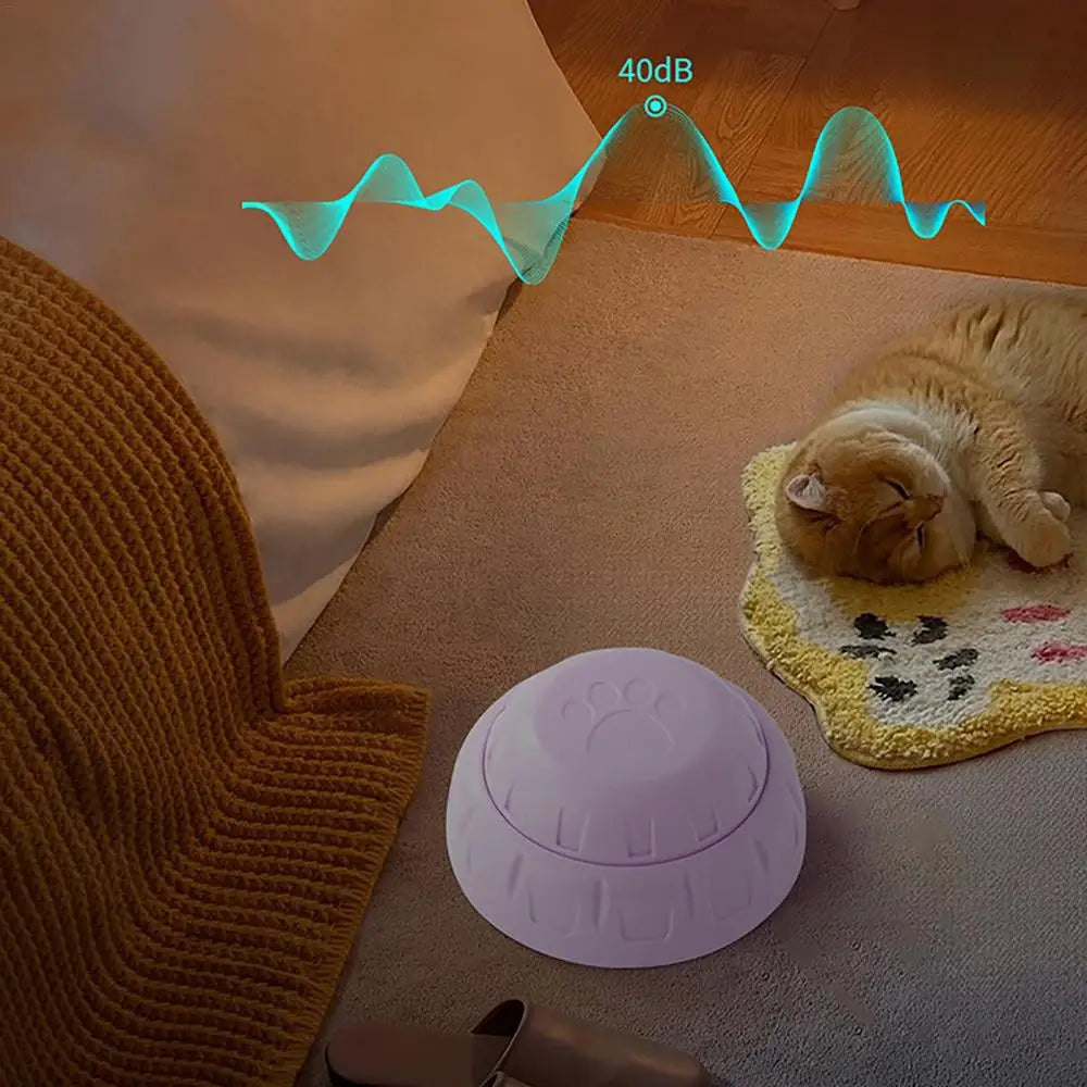 Dog Recordable Button Voice Training Buzzer Interactive Communication Training Buzzer Recordable Speaking Button Playback