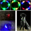 4 Modes Dog Luminou Charge Collar Led Usb Cat Silicone Colorful Collar Detachable Night Glow Pet Loss Prevention Dog Accessories