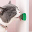 Cat Lick Ball Pet Biting Lick Chew Toys Kitten Catnip Roller Ball Cat Treat Ball To Stimulate Appetite Toys