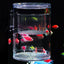 Acrylic Floating Fish Breeding Isolation Box Aquarium Breeder Feeder Fish Tank Hatching Incubator Aquarium Hatchery Accessories