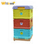 HDPE Three-Layer Plastic Beehive 10 Frame Plastic Thermo Hive for Animal Husbandry