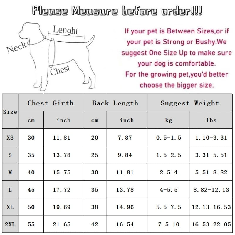 Luxury Summer Dog Dress Princess Style Chihuahua Bichon Korean Striped Skirt Lace Puppy Costume 2025 New Summer Fashion for Dogs