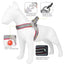 Breathable Y Shape Dog Harness Adjustable Step In Pet Harness Vest for Puppy Small Large Dog Chest Harness Reflective Dog Collar