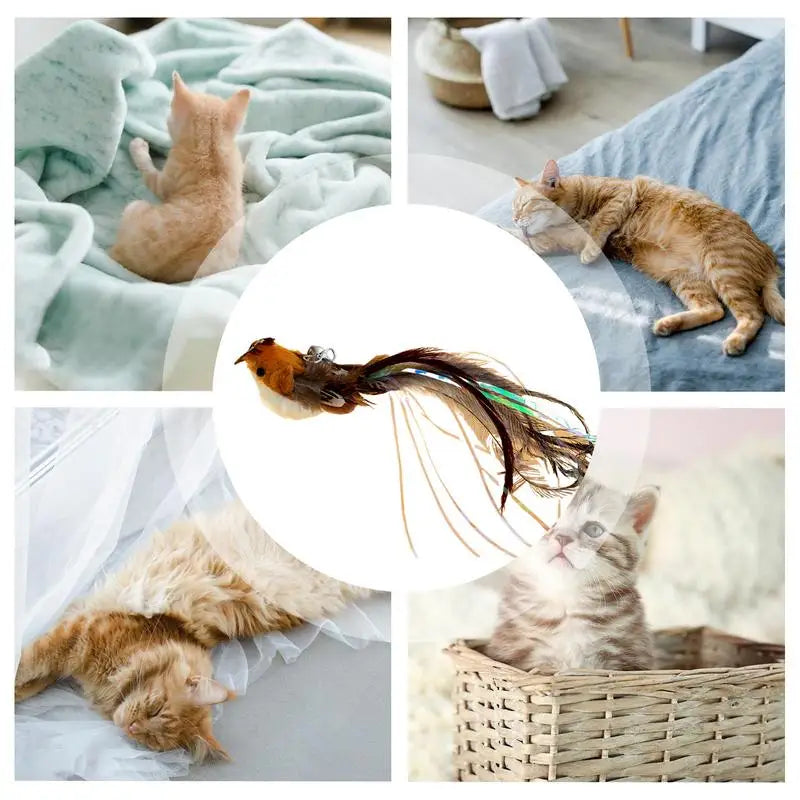 Cat Teaser Toys Wand Attachments Teaser Stick Replacement Head Toys Multi-Functional Interactive Cat Toy For Home Outdoors