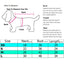 Police Suit Cosplay Dog Clothes Black Elastic Vest Puppy T-Shirt Coat Accessories Apparel Costumes  Pet Clothes for Dogs Cats