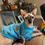 Dog Autumn/Winter Sweatshirt Colorful Thickened Soft And Warm Pet Pullover Clothes Classic Fashion Jacket For Cats And Dogs