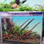 Customized Different Size Fish Tank Coral LED Aquarium fresh water plant fish light for tank