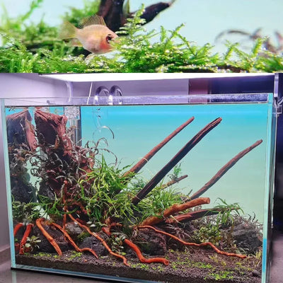 Customized Different Size Fish Tank Coral LED Aquarium fresh water plant fish light for tank