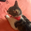 Small Dog Cat Bandana Collar Adjustable Puppy Dog Kitten Neckerchief PU Collar with Printed Triangular Scarf Pet Collar for Cat