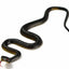45cm Fake Realistic Rubber Toy Snake Simulation Anaconda Scary Halloween To Scare Birds Props Prank Trick Toy Accessories
