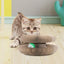 Cat Scratching Pad Organ Magnetic Foldable Scratchers Multipurpose Scratch Pad Kitten Scratching Board With Ball For Kitten Paly