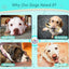 Bite Resistant Solid Dog Ball Toys for Small Large Dogs High Elasticity E-TPU Pet Chew Ball Toy Non Squeak Interactive Puppy Toy