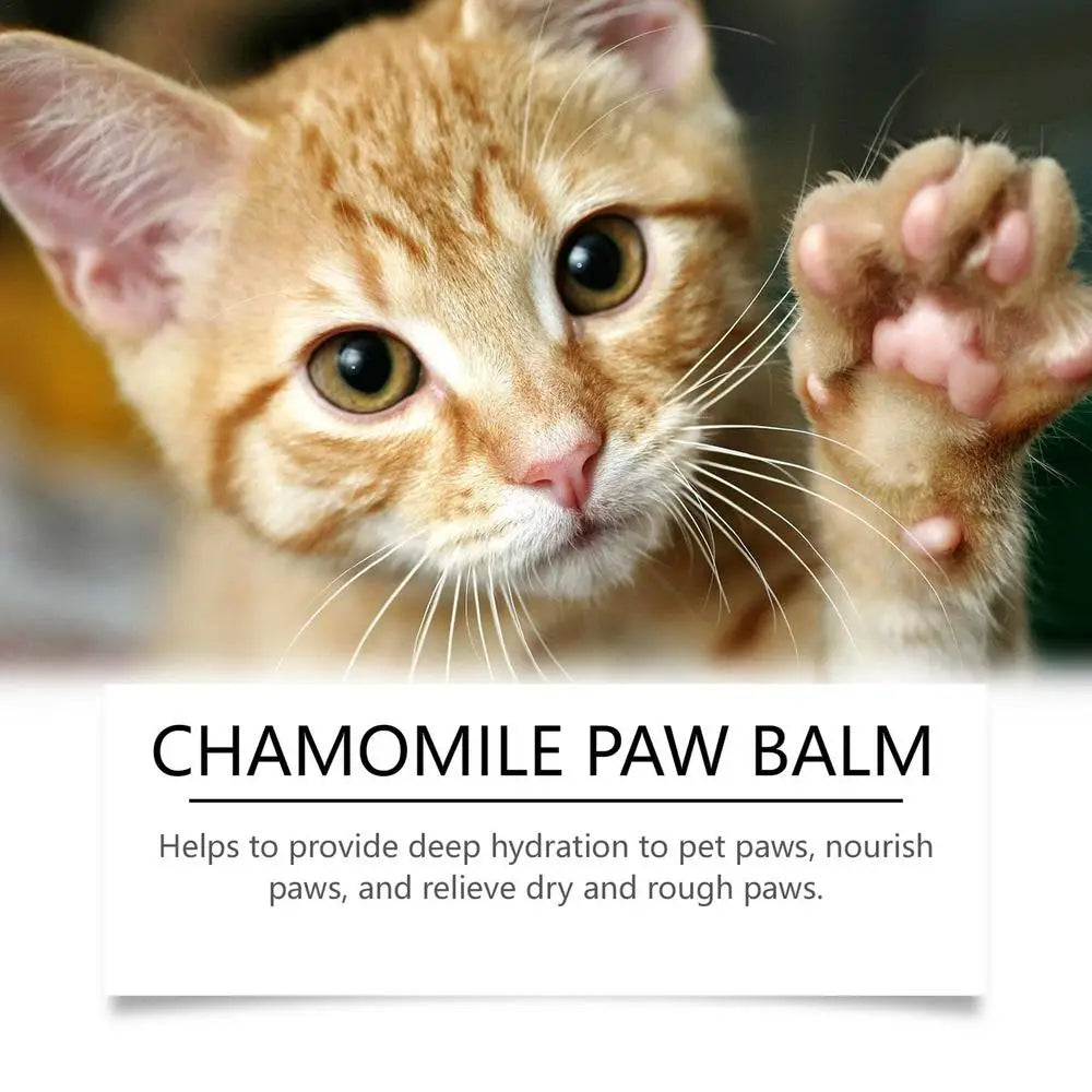 Paw Balm Dogs Lick Safe Gentle Dog Paw Cream Paw Balm Safe Balm For Dog Paws Deeply Hydrating Pet Supplies For Cat Dog Pet