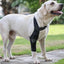 Dog Knee Brace Large Dog Rear Leg Support Breathable Back Leg Support With Metal Strip High Elasticity Leg Protector Senior Dogs