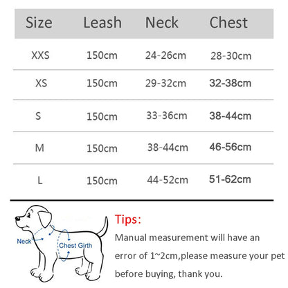 Harness Set For Small Dogs