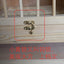 Pigeon Cage Spring Lock Yellow Lock Ox Horn Hook Lock Hardware Spring Lock Spring Pin Pigeon Cage Nest Box Accessories