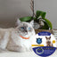 Repellent Collar Dog Flea Prevention Cat Anti Ticks Parasite Collar for Small Large Dogs Anti Flea and Ticks Collar Pet Supplies