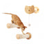 Cat Wall Climbing Shelves Wall Mounted Hammock Cat Scratching Post Wooden Stairway Shelves with Sisal Rope Ladder Wall Cat Tree