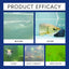 Aquarium Gravel Cleaner Aquarium Cleaning Solution 100 Ml Safe Cleaning Solution Water Clarifier For Aquarium