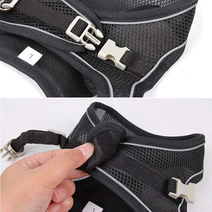 Harness Set For Small Dogs