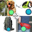 Foldable Silicone Dog Food Water Basin with Bowl Lips for Pets Outdoor Travel,Portable with Hooks for Pet Supplies, Feeding Bowl