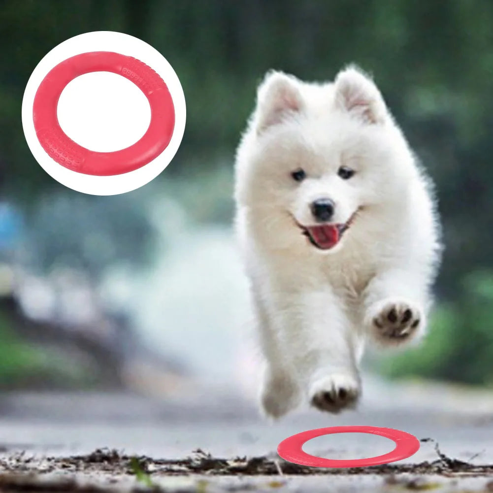 Floating Water Dog Toy Training Ring for Pets Interactive Puller Chew Resistant Perfect for Small Dogs Enhances Agility & Fun