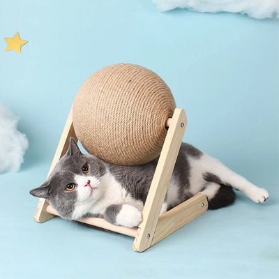 Clearance_Cat Supplies_Continuous updates