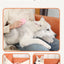 Colored Pet Steam Beauty Comb Cleanable Floating Hair Remove Tangled Hair No Need To Take A Shower Universal For Cat And Dog