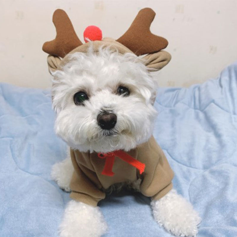 Funny Pet Dog Cat Halloween Costume Dog Costumes for Small Dogs Cosplay Elk Transformed Winter Warm Dog Clothes