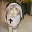 Pet Cat Halloween Costumes Nun Cloak For Small Pet Cosplay Dress Kawaii Pet Clothes Cat Kitten Puppy Funny Accessoties Gift F2A4