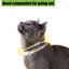 Pet deworming collar, adjustable collar for dogs and cats, anti lice, fleas, ticks, pet collar supplies