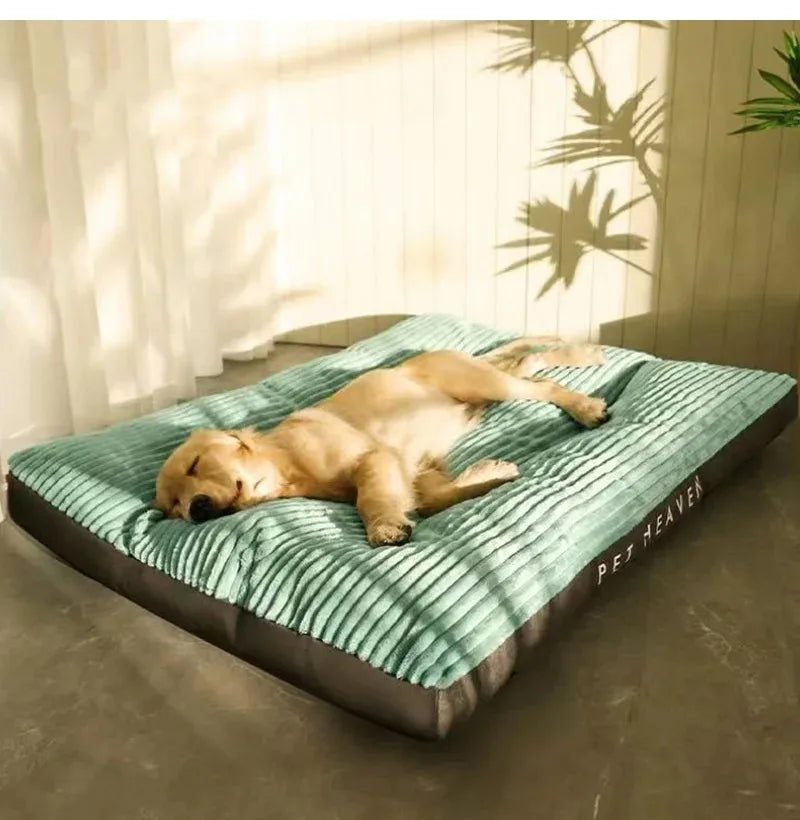 Dog Bed Large Dog Warm Accessories Halloween Dogs Baskets for Winter Big Cushion Accessory Small Pet Basket Breeds Fluffy Pets