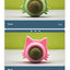 Cat Ear Peppermint Rotating Ball Cat Happy Interactive Cat Toy Worms Gall Fruit Wood Polygonum Toy Ball