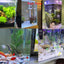 Glass Aquarium Feeder Tube Dish Transparent Fish Tank Shrimp Snail Food Feeder Bowl Aquarium Feeding Accessories Shrimp Feeders