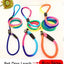 1Pcs 50cm Length Super Strong Nylon Dog Leash Dog Collar Leads For Medium Large Dogs with Spring Anti Pull Leashes Pet Supplies