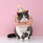 Pet Birthday Accessories Small Dog Cat Birthday Hat with Bandana Collar Pet Birthday Decorations for Kitten Pet Party Outfits