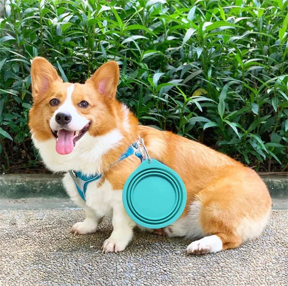 Pet Dog Collapsible Bowl Folding 350ml Silicone Bowl Outdoor Travel Portable Puppy Food Container Feeder Dish Bowl Pet dog bowls